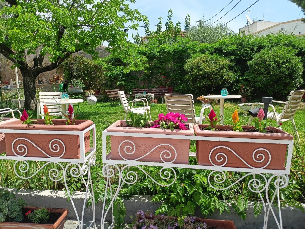 Finikas Rooms Agia Marina  Zewnętrze zdjęcie