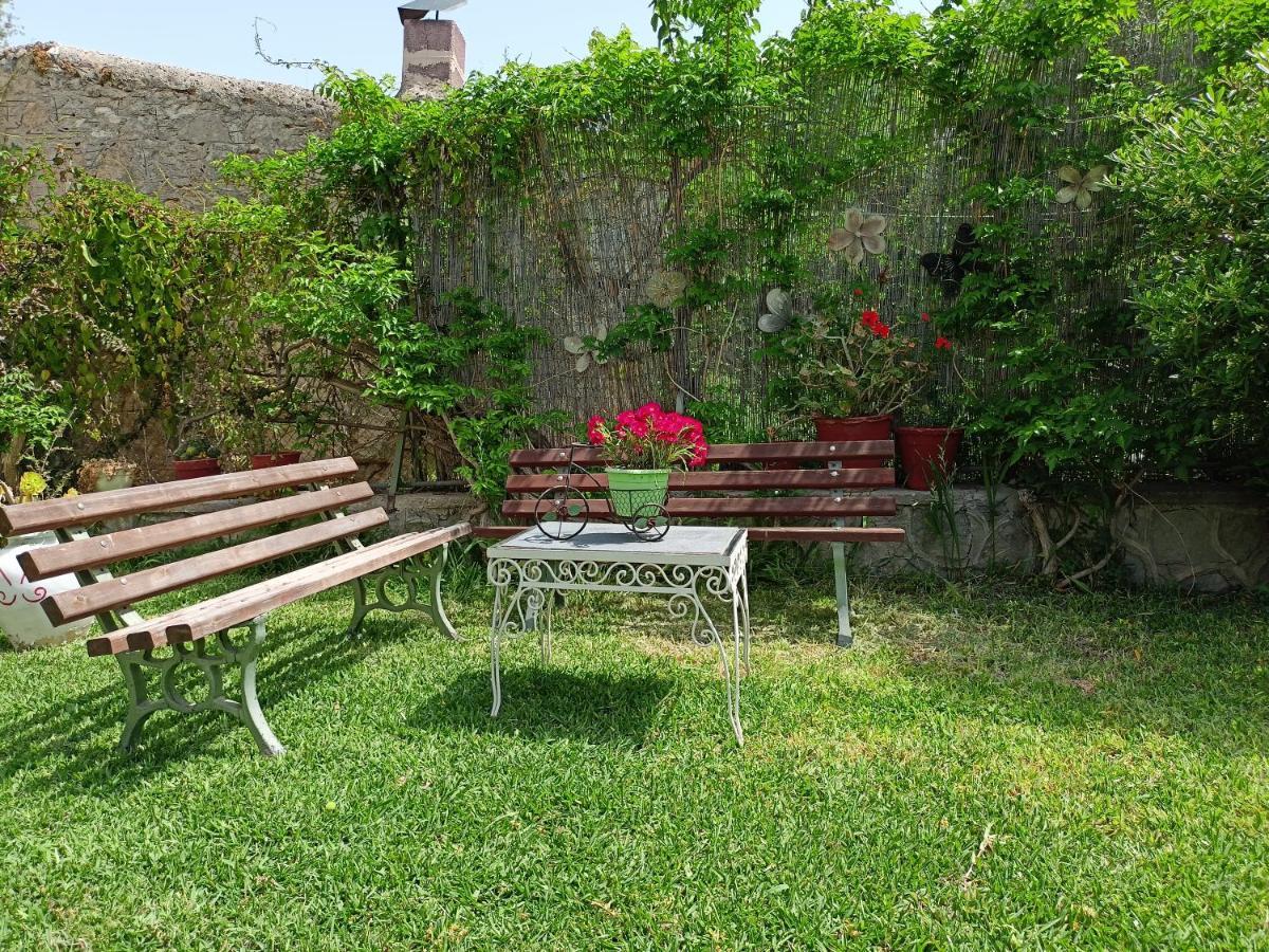Finikas Rooms Agia Marina  Zewnętrze zdjęcie