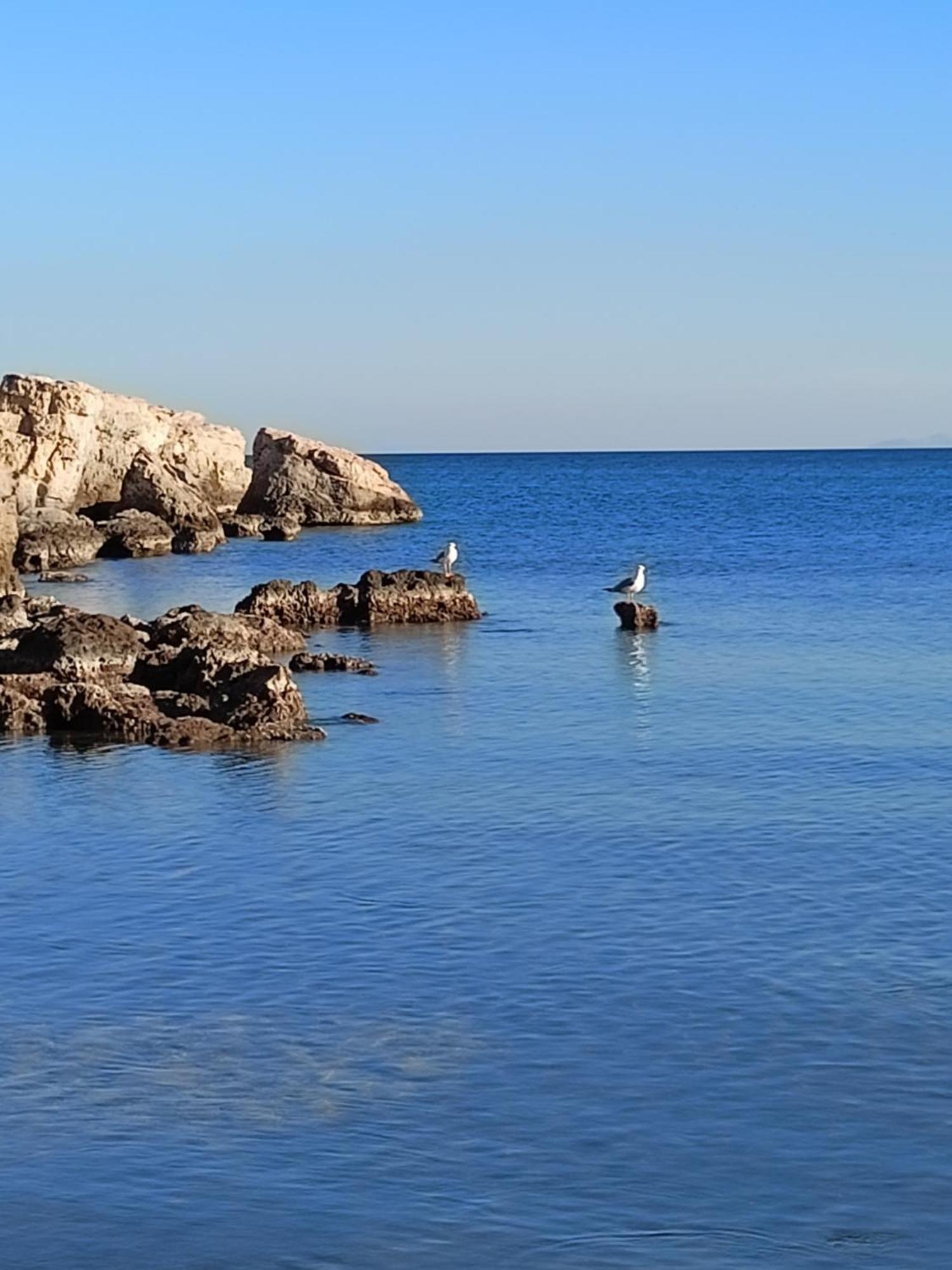 Finikas Rooms Agia Marina  Zewnętrze zdjęcie